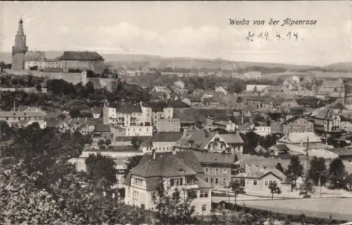 Ak Weida in Thüringen, Stadtansicht, Alpenrose, Burg, Häuser, 19.4.14