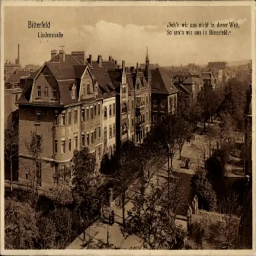 Ak Bitterfeld in Sachsen Anhalt, Stadtansicht, Lindenstraße, Gedichttext,  Architektur