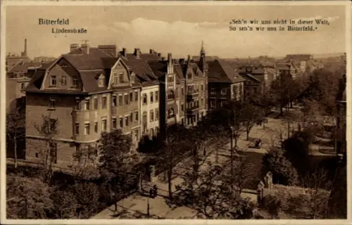 Ak Bitterfeld in Sachsen Anhalt, Stadtansicht, Lindenstraße, Gedichttext,  Architektur
