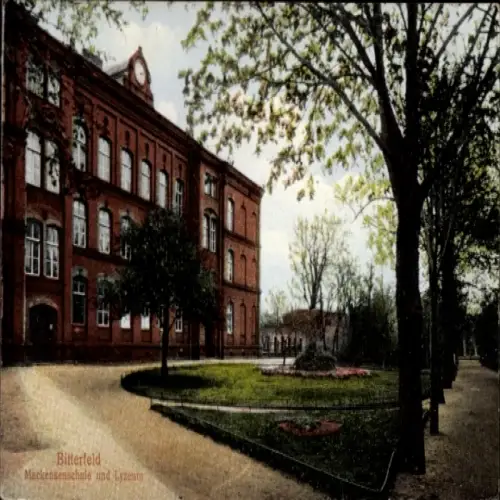 Ak Bitterfeld in Sachsen Anhalt, Mackensenschule, Lyzeum