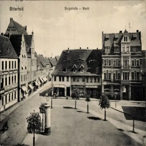 Ak Bitterfeld, Burgstraße, Markt, Geschäft Edmund Swoboda