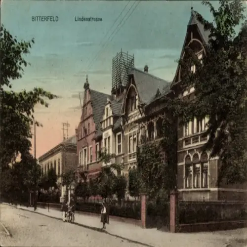 Ak Bitterfeld in Sachsen Anhalt, Vorderansicht von Gebäuden an der Lindenstraße,  in Farbdruck