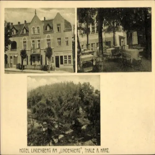 Ak Thale im Harz, Hotel Lindenberg