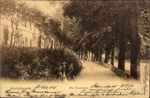 Ak Bischofswerda in Sachsen,  Parkansicht, Baumallee, zwei Personen, Am Froschteich