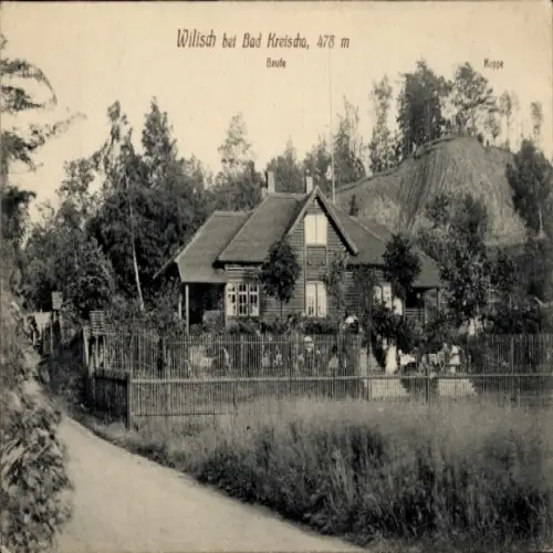 Ak Wilisch Kreischa bei Dresden, Wilischbaude