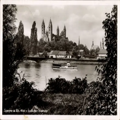 Ak Speyer am Rhein, Speyers Stadtansicht, Blick vom badischen Rheinufer, Dampfschiff auf dem Rhei