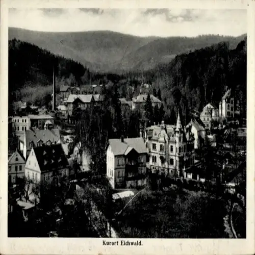 Ak Cínovec Böhmisch Zinnwald Dubí Eichwald Region Aussig, Gesamtansicht
