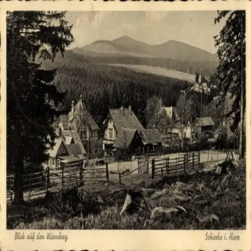 Ak Schierke Wernigerode im Harz, Blick auf den Wurmberg