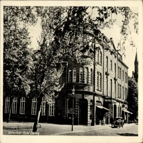 Ak Bitterfeld in Sachsen Anhalt, Hotel Döring,  Architektur, Bäume, Straße, Auto