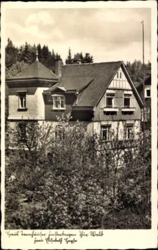 Ak Finsterbergen Friedrichroda im Thüringer Wald, Haus Tannhäuser, Thüringer Wald, Frau Elisabeth