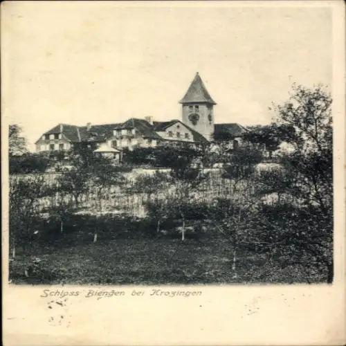 Ak Bad Krozingen im Breisgau Schwarzwald, Schloss Biengen, schwarz-weiß,  Architektur