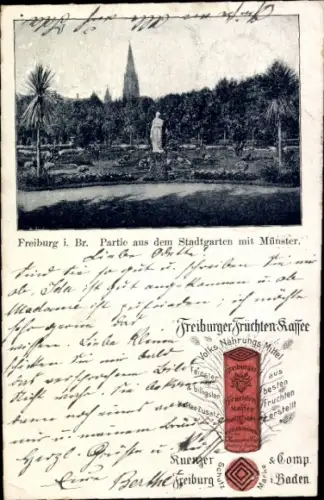 Ak Freiburg im Breisgau, Stadtgarten, Münster, Statue, Pflanzen, Kuenzer Kaffee