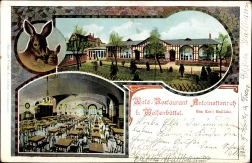 Ak Wolfenbüttel in Niedersachsen, Waldrestaurant Antoinettenruh, Inh. Emil Beilicke