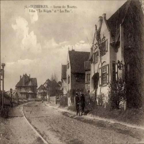 Ak Duinbergen Knokke Heist Westflandern, Avenue des Mouettes, Villen Ter Wilgen und Les Pins, Str