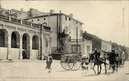 Ak Puylaurens Tarn, Avenue de Castres, Halle aux Grains, Maultierwagen