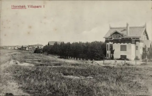 Ak Hornbæk Hornbaek Helsingør Dänemark, Hornbæk Villaparti I, große Villa, Straße, Bäume, Wiese