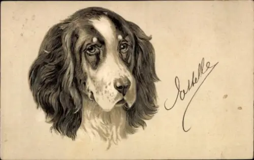 Präge Litho Gemaltes Hund-Porträt