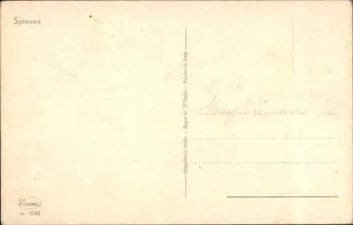 Ak Gemaltes Hund-Porträt, Spinone