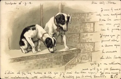 Präge Litho Zwei neugierige Hunde