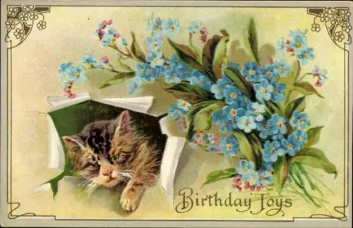 Präge Ak Glückwunsch zum Geburtstag, Katze, Vergissmeinnicht
