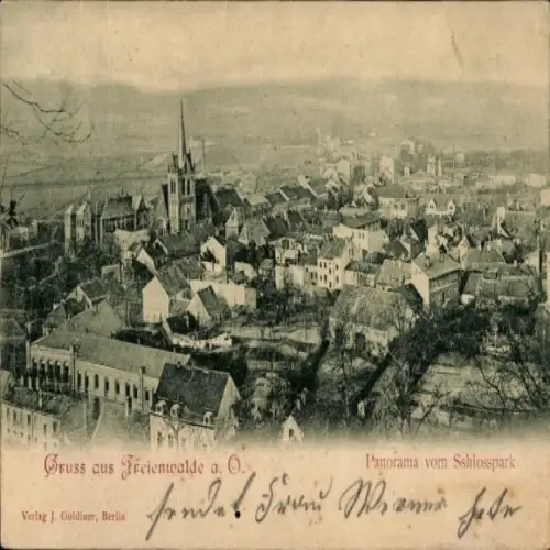 Ak Bad Freienwalde an der Oder, Panorama, Blick vom Schlosspark