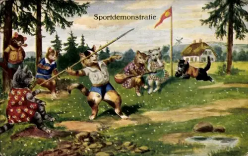 Ak Leichtathletik, Vermenschlichte Katzen, Speerwurf