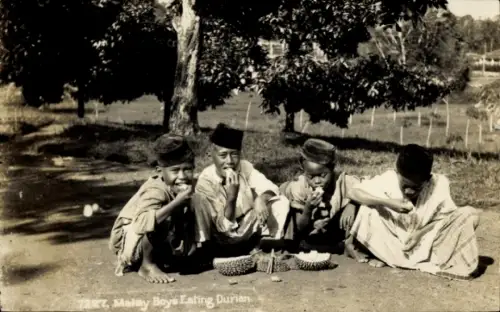 PC Malaysia, Malay Boys eating Durian