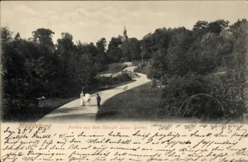 Ak Magdeburg an der Elbe, Königin Luise-Garten