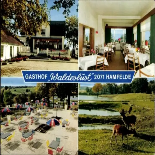 Ak Hamfelde bei Trittau Kreis Stormarn, Gasthof 'Waldeslust', grüne Landschaft, Terrasse, Restaur
