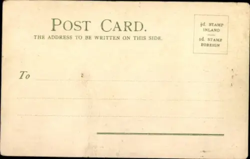 Ak Kuh, Wiese, Blühende Pflanze