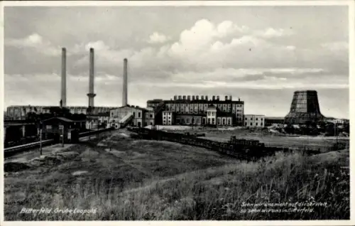 Ak Bitterfeld in Sachsen Anhalt,  Grube Leopold, Industriegebäude, Schornsteine