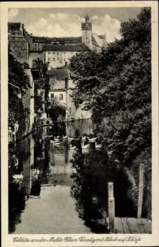 Ak Zschadraß Zschadrass Colditz in Sachsen, Klein Venedig mit Blick auf Schloss
