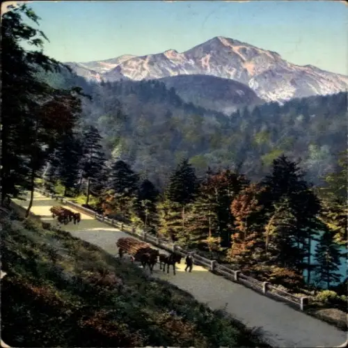 Ak Altenau Clausthal Zellerfeld im Oberharz, Berglandschaft, Wald, Weg, Pferde mit Wagen