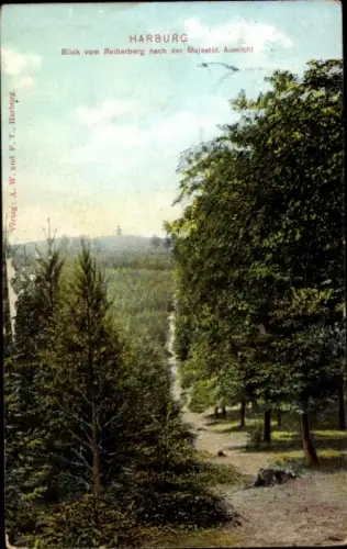 Ak Hamburg Harburg, Aussicht vom Reiherberg, Bäume, straßengehender Weg