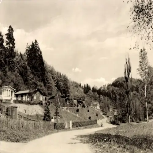 Ak Neustadt im Harz Harztor Thüringen, Landschaft mit Bungalows, Wald, Straße, Himmel, Foto von P
