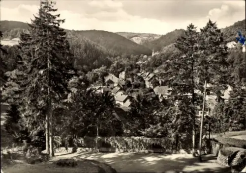 Ak Altenbrak Thale im Harz, Landschaftsaufnahme, Dorfansicht, Bäume, Wolken