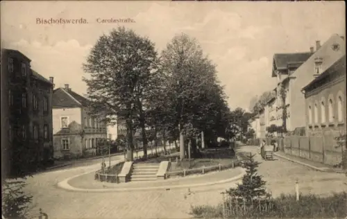 Ak Bischofswerda in Sachsen,  Carolastraße, Park, Bäume, Gebäude