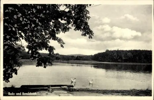 Ak Ohorn in Sachsen, Bade- und Bondelteich, ruhige Landschaft, Wasseraufnahme, Schwäne, Wolken