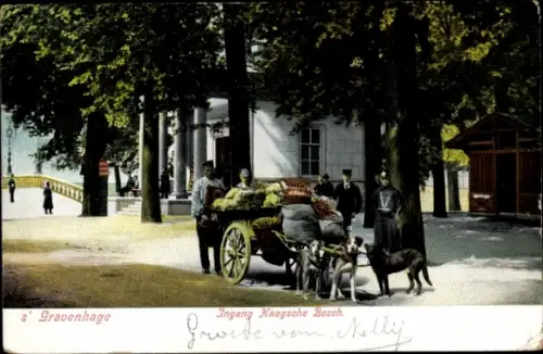 Ak 's Gravenhage Den Haag Südholland, Ingang Haagsche Bosch, Hundekarren