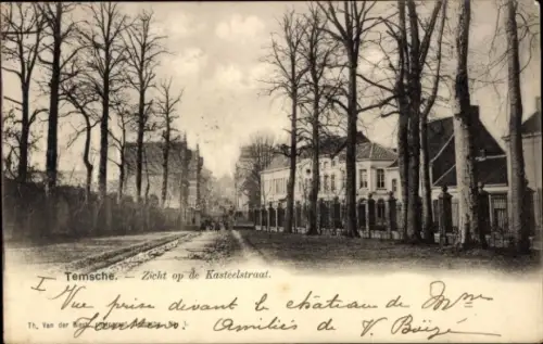 Ak Tamise Temse Temsche Ostflandern,  Kasteelstraat, Bäume, Gebäude, 