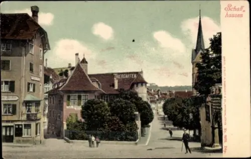 Ak Schaffhausen am Rhein Schweiz, Stadtansicht, Thiergarten,   Gebäude, Straße
