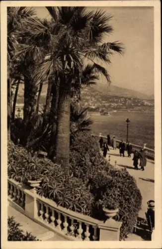 Ak Monte Carlo Monaco, Blick auf die Küste, Palmen, Spaziergänger,  Terrassen des Casinos