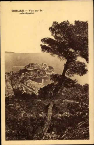 Ak Monaco,  Blick auf die Fürstentum, Baum im Vordergrund, Küstenansicht