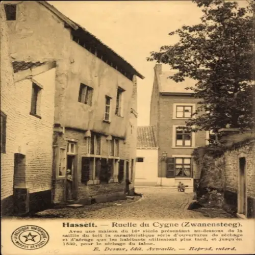 Ak Hasselt Flandern Limburg,  Ruelle du Cygne, 16. Jahrhundert, Gebäude,  Architektur