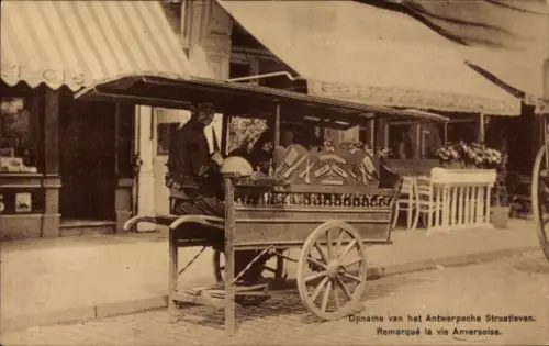 CPA Anvers Anvers Flandre, Remarqué la vie Anversoise