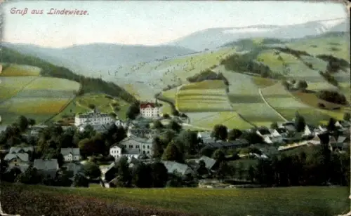 Ak Lipowa Lindewiese Schlesien, Panorama