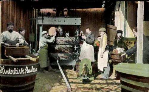 Ak Hinterkirk Auslese, Weinpresse im Einsatz