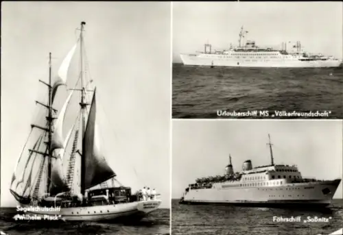 Ak Segelschulschiff Wilhelm Pieck, Urlauberschiff GTMS Fritz Heckert, Fährschiff Sassnitz