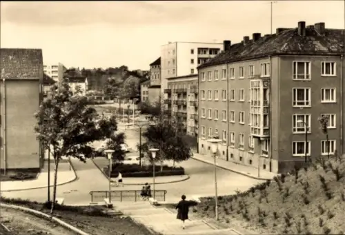 Ak Nordhausen am Harz, Stadtansicht, Häuser, Straße, Personen, Baum