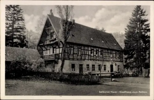Ak Falkenstein im Harz, Selketal, Gasthof zum Falken